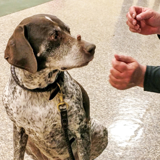 Catawba Valley Obedience Club, Hickory NC